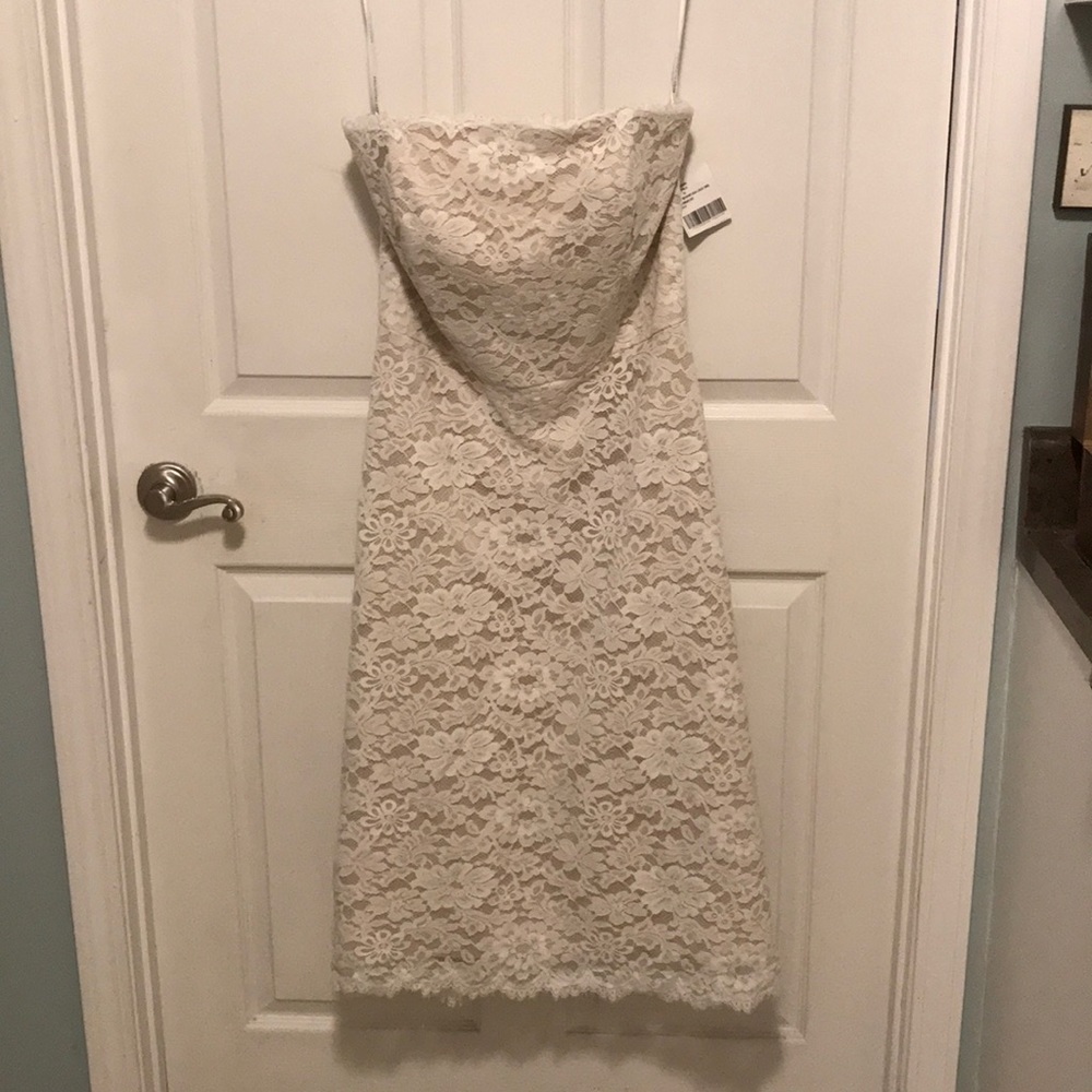 Elegant Lace Strapless Dress